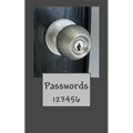 Passwords: 123456