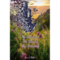 My Poetry Is The Beauty You Overlook