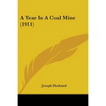A Year In A Coal Mine (1911)