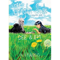 The Bright Side: Vol 1: Dee & Em