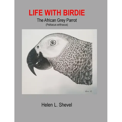 Life with Birdie, The African Grey Parrot