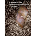 Conrad Shawcross: Cascading Principles: Expansions Within Geometry, Philosophy, and Interference