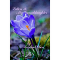 Letters To My Granddaughter