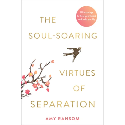 The Soul-Soaring Virtues of Separation: 111 Learnings to Heal Your Heart and Help You Fly