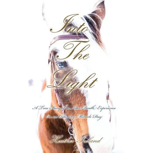 Into The Light: A True Story of a Near-Death Experience on An Ordinary Miracle Day