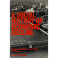 A Social History of Economic Decline: Business, Politics, and Work in Trenton