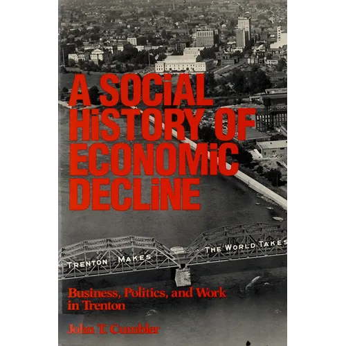 A Social History of Economic Decline: Business, Politics, and Work in Trenton