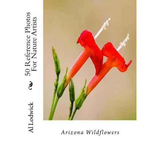 Arizona Wildflowers: 50 Reference Photos For Nature Artists