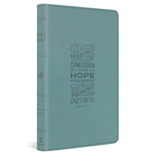ESV Large Print Value Thinline Bible (Trutone, Paris Sky, Hebrews 10:23 Design)