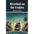 Wrecked on the Feejees