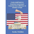 A very small book on American government: A journey from reflection, to remedy, to hope