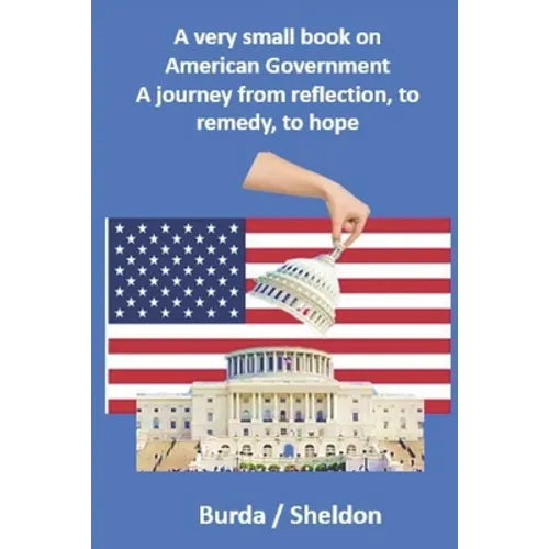 A very small book on American government: A journey from reflection, to remedy, to hope