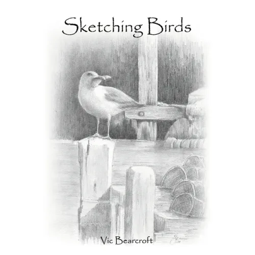 Sketching Birds