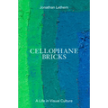 Cellophane Bricks: A Life in Visual Culture