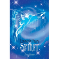 Lessons from Spirit
