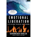 Emotional Liberation: Life Beyond Triggers and Trauma