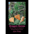 Dragon Bones: Ritual, Myth and Oracle in Shang Period China