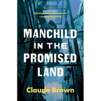 Manchild in the Promised Land - Paperback