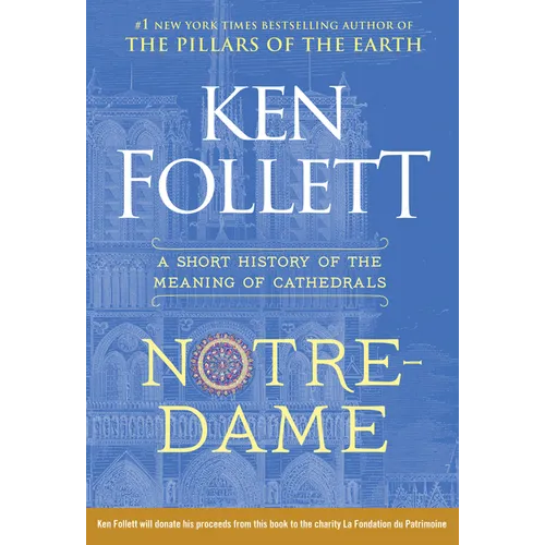 Notre-Dame: A Short History of the Meaning of Cathedrals