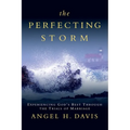The Perfecting Storm: Experiencing God's Best Through the Trials of Marriage