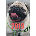 It;s All about the Pug: Pug Life