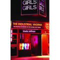 The Industrial Vagina: The Political Economy of the Global Sex Trade