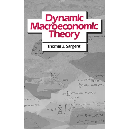 Dynamic Macroeconomic Theory