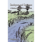 Sandspurs and Sawgrass: A Collection of True Stories from North Florida - Paperback