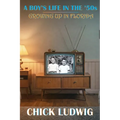 A Boy's Life in the '50s: Growing Up in Florida