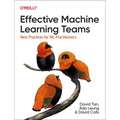 Effective Machine Learning Teams: Best Practices for ML Practitioners
