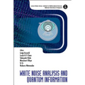 White Noise Analysis and Quantum Information