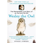 Wesley the Owl: The Remarkable Love Story of an Owl and His Girl