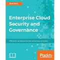 Enterprise Cloud Security and Governance