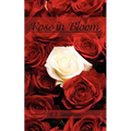 Rose in Bloom