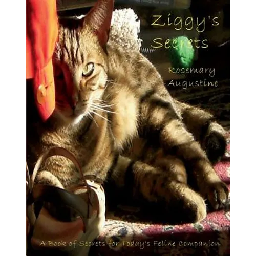 Ziggy's Secrets: An Internet Password Keeper