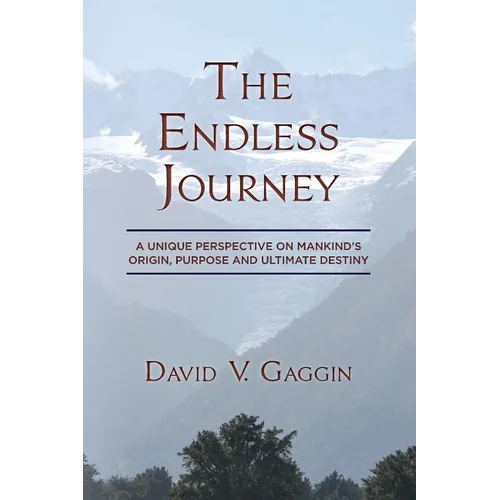 The Endless Journey: A Unique Perspective on Mankind's Origin, Purpose and Ultimate Destiny