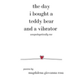 The Day I Bought a Teddy Bear and a Vibrator