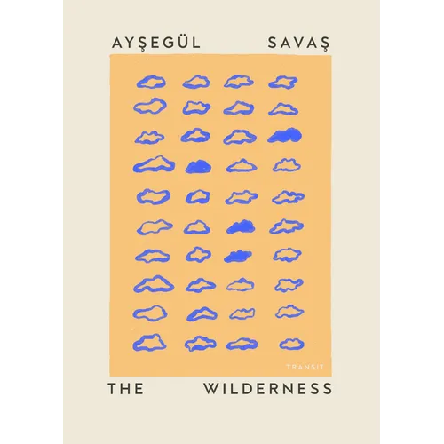 The Wilderness
