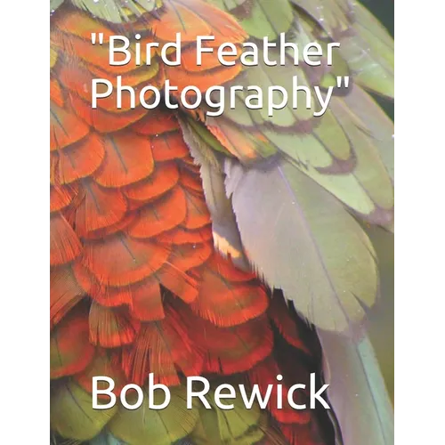 Bird Feather Photography