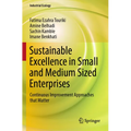 Sustainable Excellence in Small and Medium Sized Enterprises: Continuous Improvement Approaches That Matter