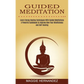 Guided Meditation: Learn Energy Healing Techniques With Guided Meditations (A Powerful Guidebook to Improve Now Your Mindfulness and Self-healing)