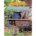 The Adventures of Stumpy and Longtail