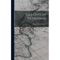 Idle Days in Patagonia