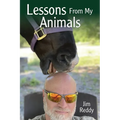 Lessons From My Animals