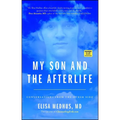 My Son and the Afterlife: Conversations from the Other Side