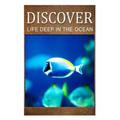 Life Deep In Ocean - Discover: Early reader's wildlife photography book