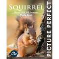 Squirrel: Picture Perfect Photo Book