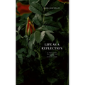 Life as a Reflection: A true story on living the art of shadow work
