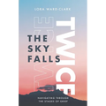 The Sky Falls Twice: Navigating Through The Stages of Grief