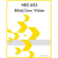 NES 603 Blind/Low Vision